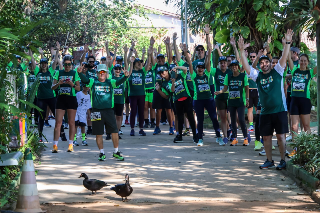 DMS Running Team